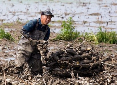 斗破苍穹小说免费阅读(倚天屠龙记同人小说)