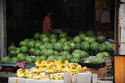 萍踪侠影小说